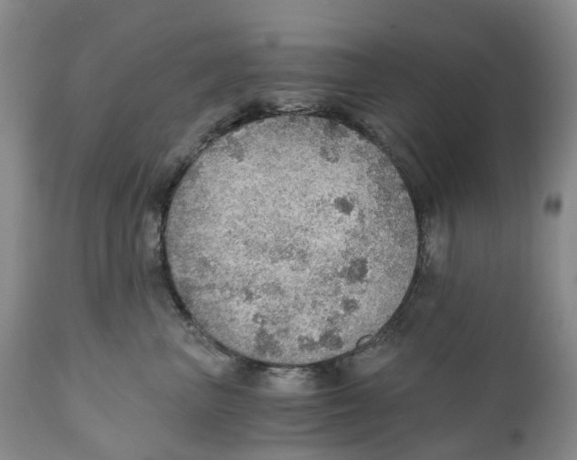 X0000110890667200907161527