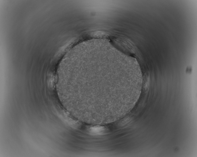 X0000110890669200907161527