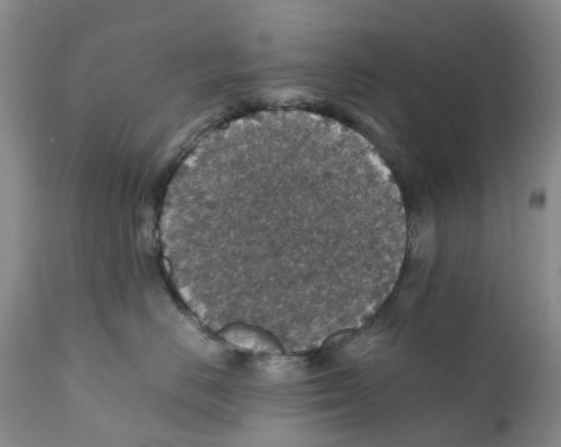 X0000110890670200907161527