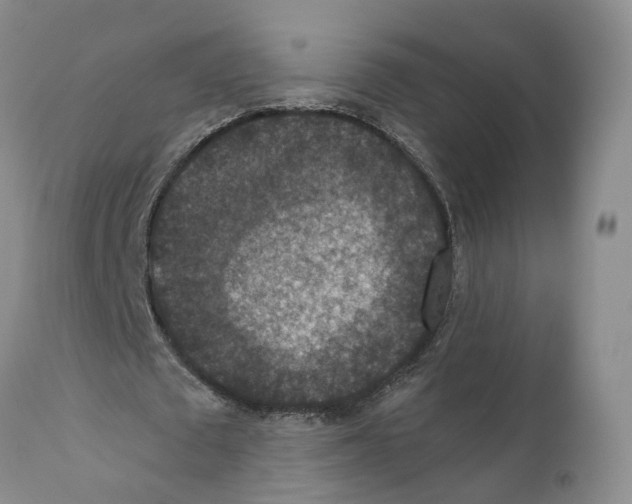 X0000110890673200907161526