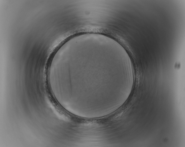X0000110890674200907161526