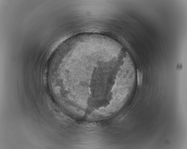 X0000110890675200907161526