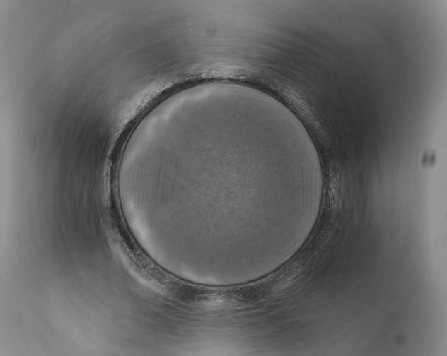 X0000110890678200907161526
