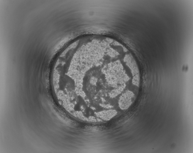 X0000110890679200907161526