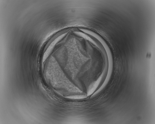 X0000110890680200907161526