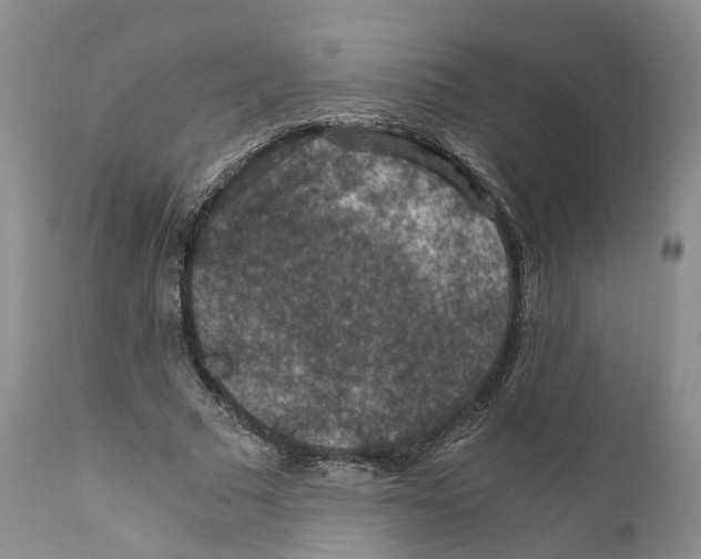 X0000110890681200907161526