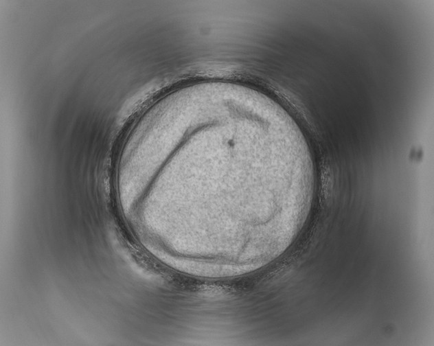 X0000110890682200907161526