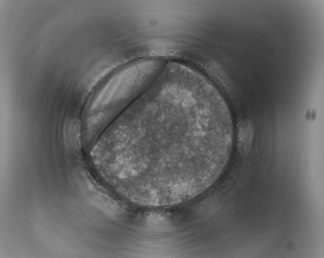 X0000110890684200907161526