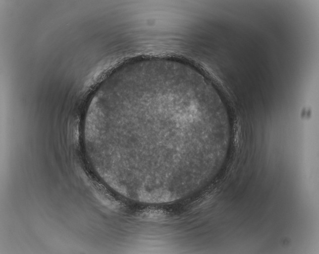 X0000110890685200907161526