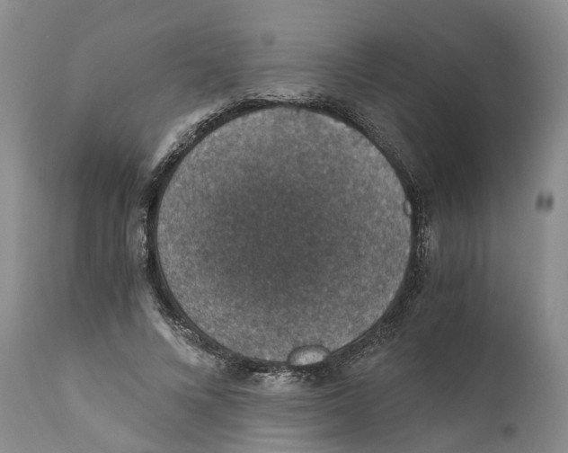 X0000110890688200907161526