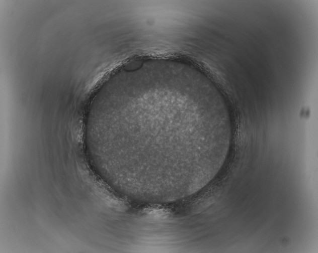 X0000110890689200907161526