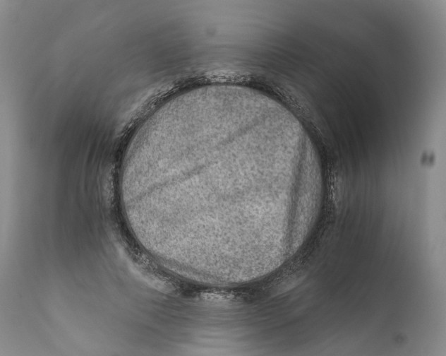 X0000110890690200907161526