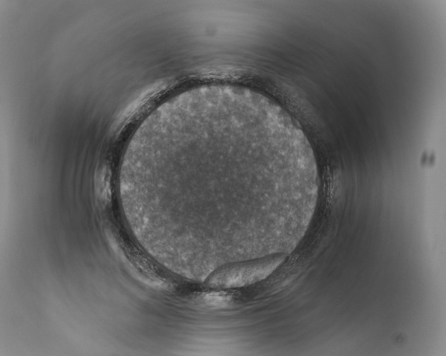 X0000110890692200907161526