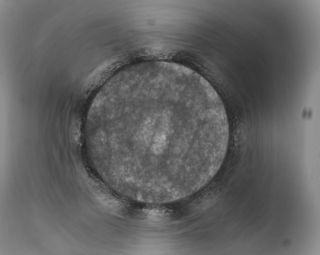 X0000110890693200907161526