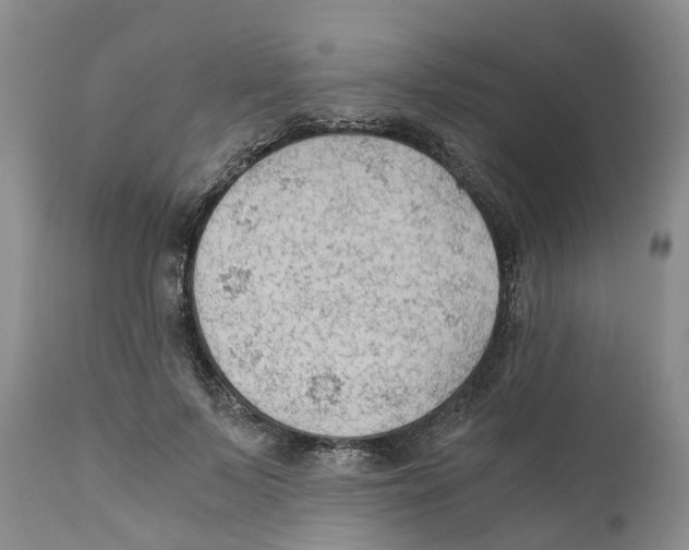 X0000110890695200907161526