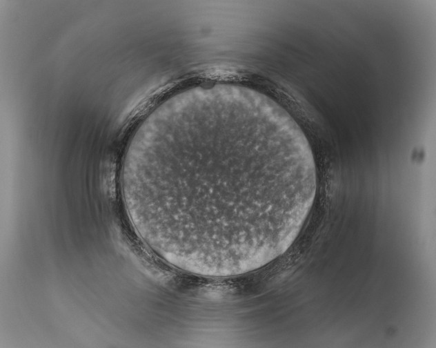 X0000110890696200907161526