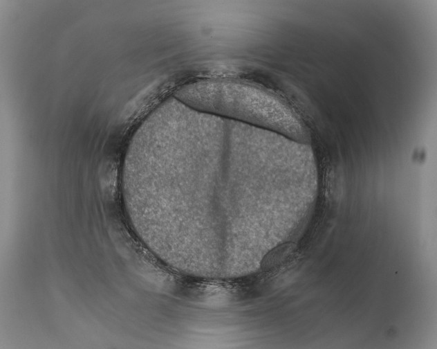 X0000110890697200907161526