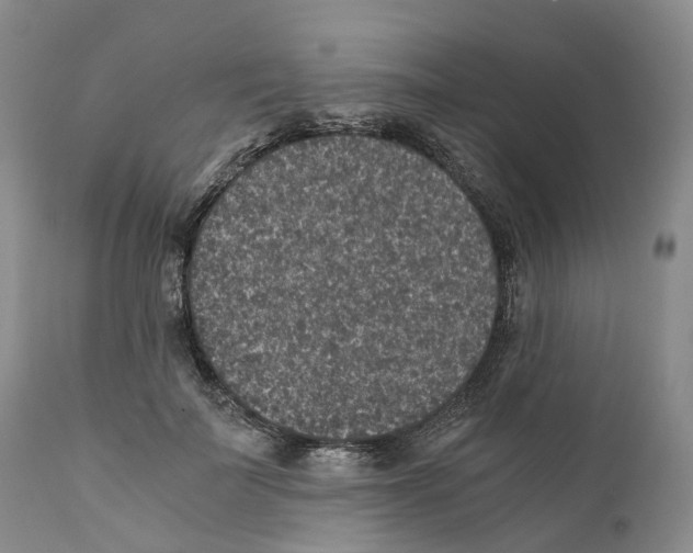 X0000110890699200907161526