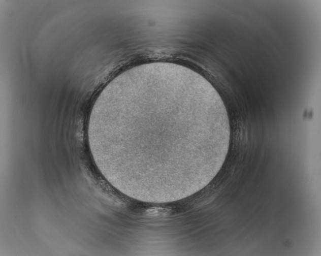 X0000110890700200907161526
