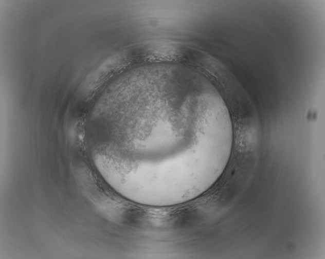 X0000110890701200907161526