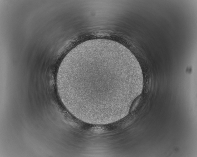 X0000110890704200907161526