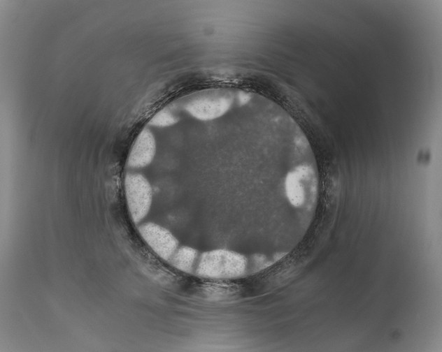 X0000110890707200907161526