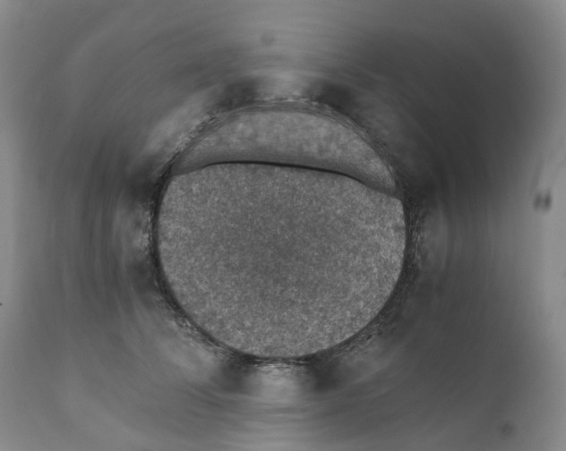 X0000110890708200907161526