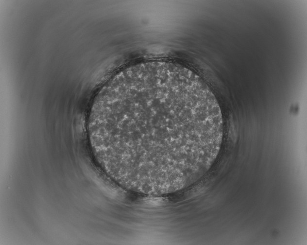 X0000110890711200907161526