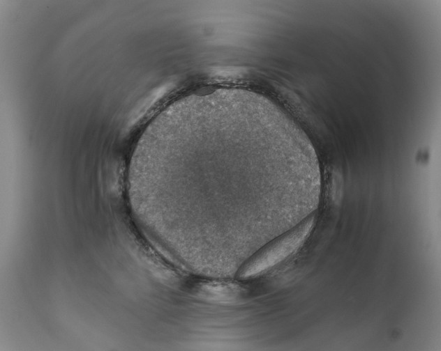X0000110890712200907161526