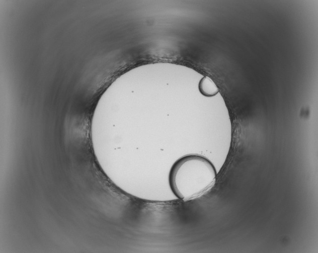 X0000110890713200907161526