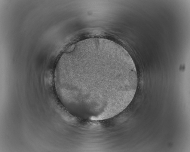 X0000110890715200907161526