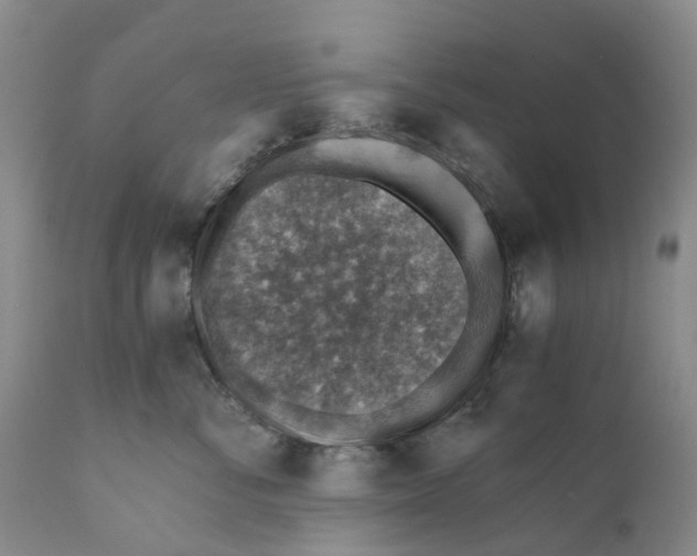 X0000110890716200907161526