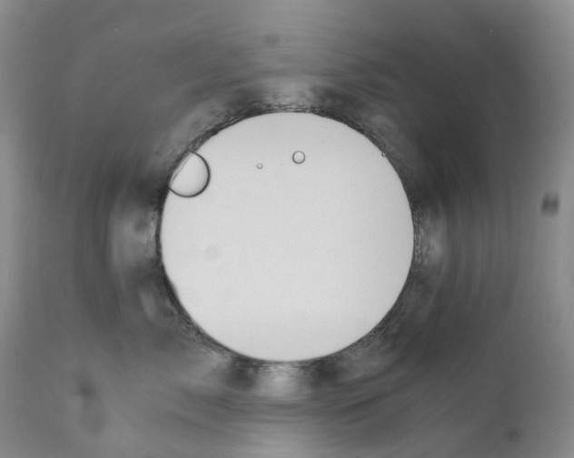 X0000110890717200907161526