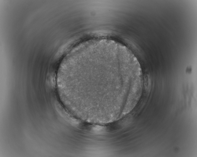 X0000110890718200907161526