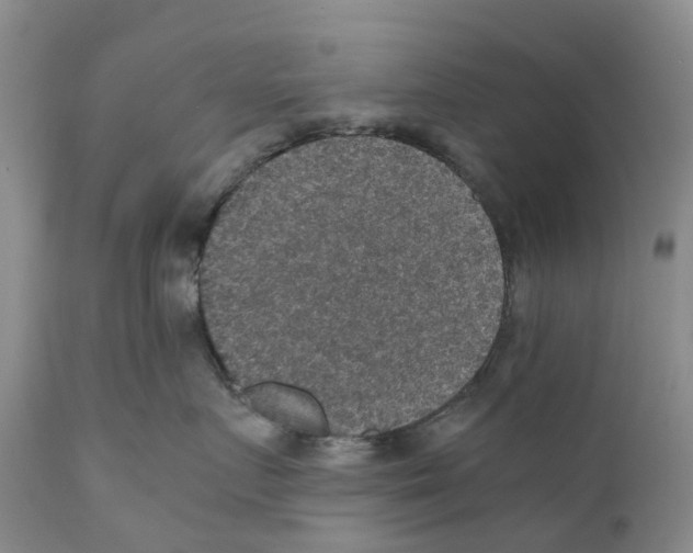 X0000110890719200907161526