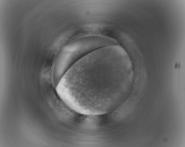 X0000110890720200907161526