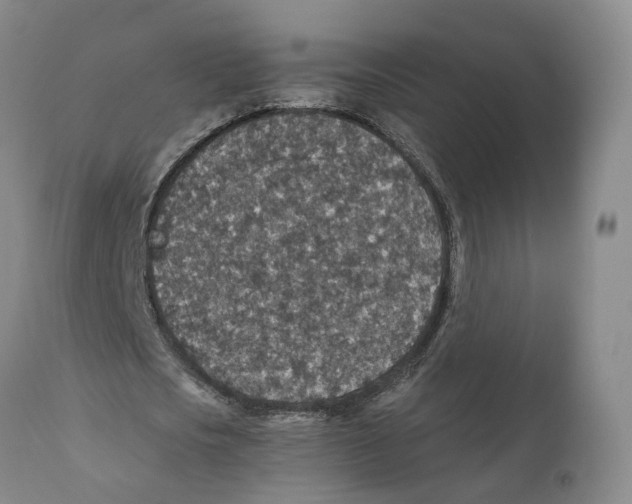 X0000110890721200907161525