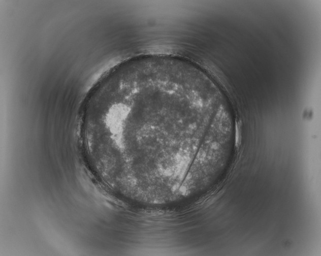 X0000110890723200907161525