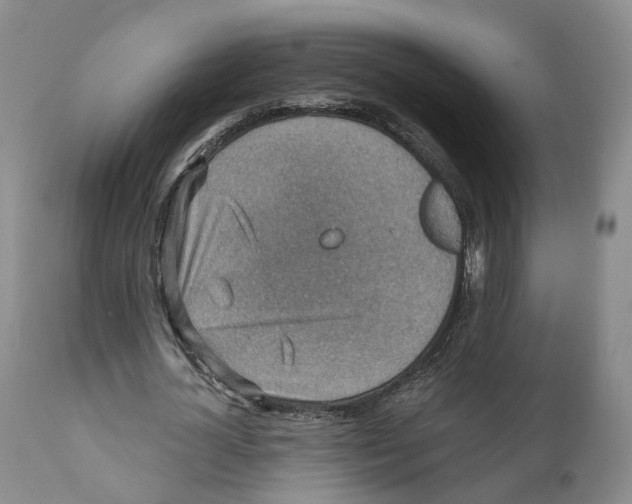 X0000110890724200907161525