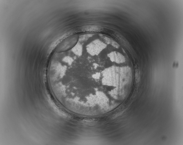 X0000110890725200907161525