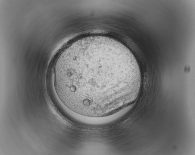 X0000110890726200907161525