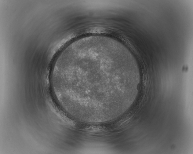 X0000110890727200907161525