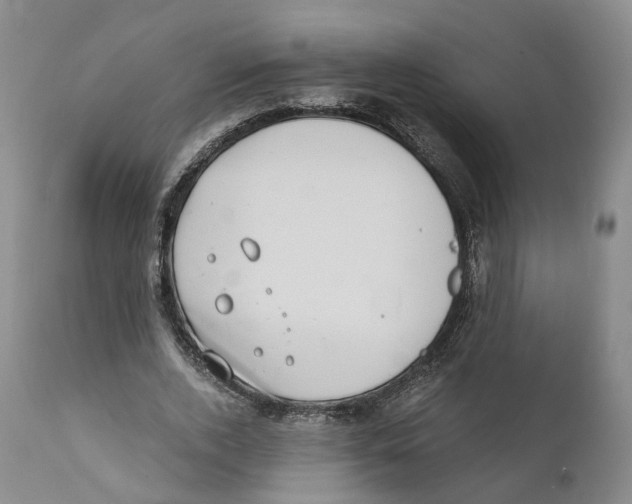 X0000110890728200907161525