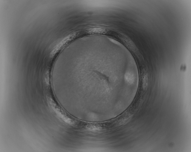 X0000110890729200907161525