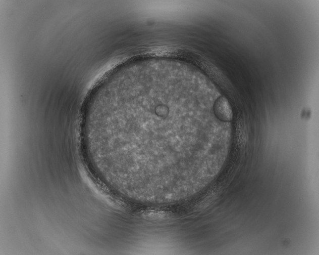 X0000110890730200907161525