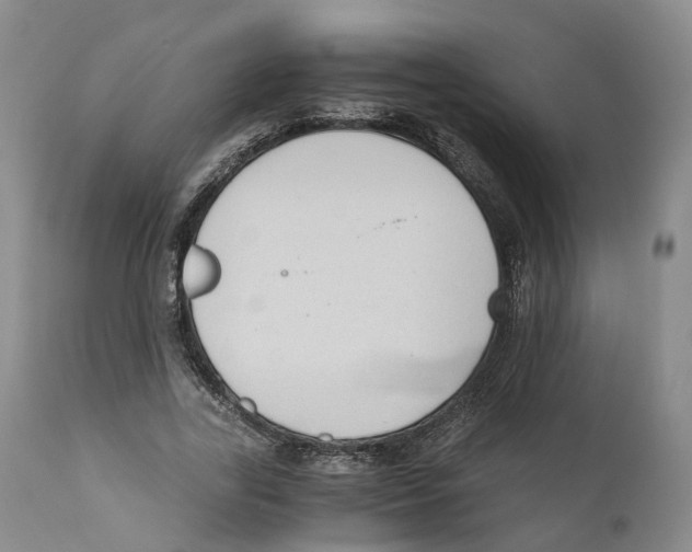 X0000110890731200907161525