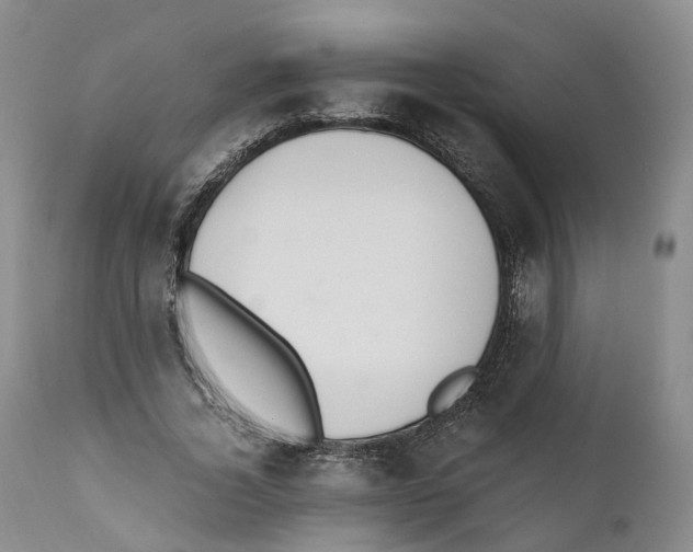 X0000110890732200907161525