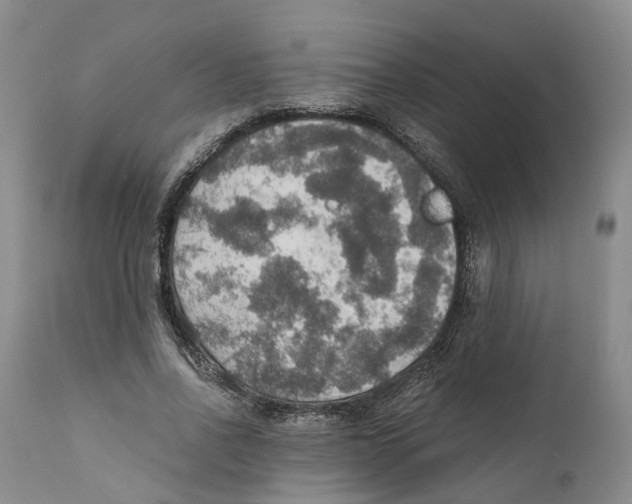 X0000110890734200907161525