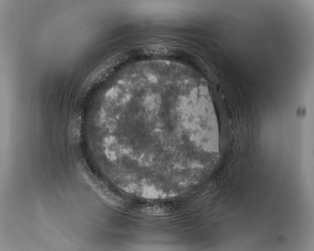 X0000110890735200907161525