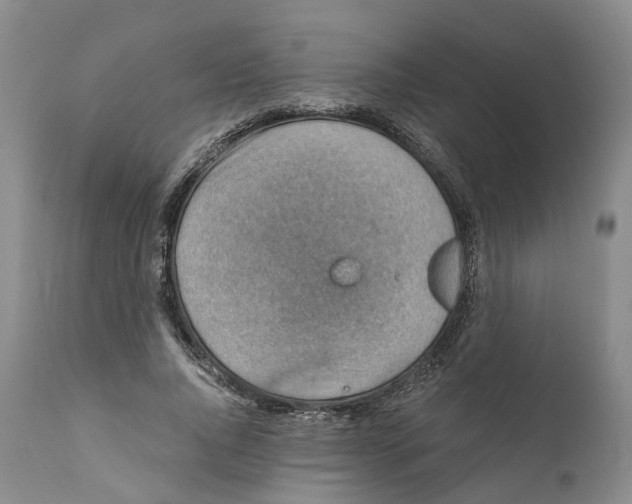 X0000110890736200907161525